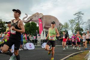 BIB: 
                            <button type="button" onclick="openModal(26528268)" class="btn btn-primary btn-sm float-right btn-popup" data-toggle="modal" data-target=".modal-high-quality">
                        <i class="fas fa-shopping-cart"></i> Add to Cart
                    </button>
                                            <button type="button" onclick="isThisMe(26528268, true)" class="btn btn-success btn-sm float-right btn-popup btn-isme hidden" data-toggle="tooltip" data-placement="bottom" title="นี่คือรูปของคุณใช่ไหม คลิกที่นี่เพื่อเอาเข้าอัลบั้ม">
                        <i class="fas fa-plus"></i> Add to album
                    </button>
                    <button type="button" onclick="isThisMe(26528268, false)" class="btn btn-warning btn-sm float-right btn-popup btn-isnotme hidden">
                        <i class="fas fa-ban"></i> Remove from album
                    </button>